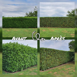 Entretien des espaces verts Saint-Médard-en-Jalles