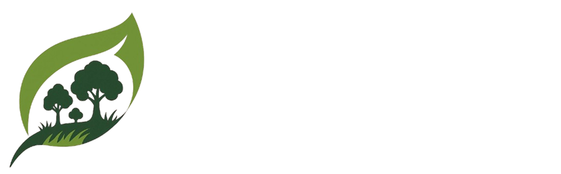 BFS ESPACES VERTS