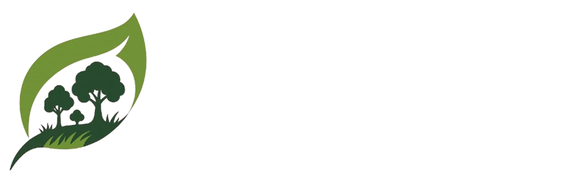 BFS ESPACES VERTS