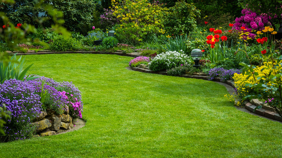 BFS ESPACES VERTS